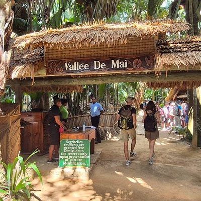 Valle De Mai